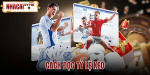 Cách Đọc Tỷ Lệ Kèo