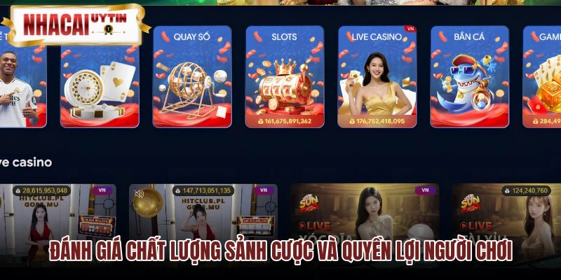 Chất lượng giao diện 8LIVE và chính sách ưu đãi người dùng