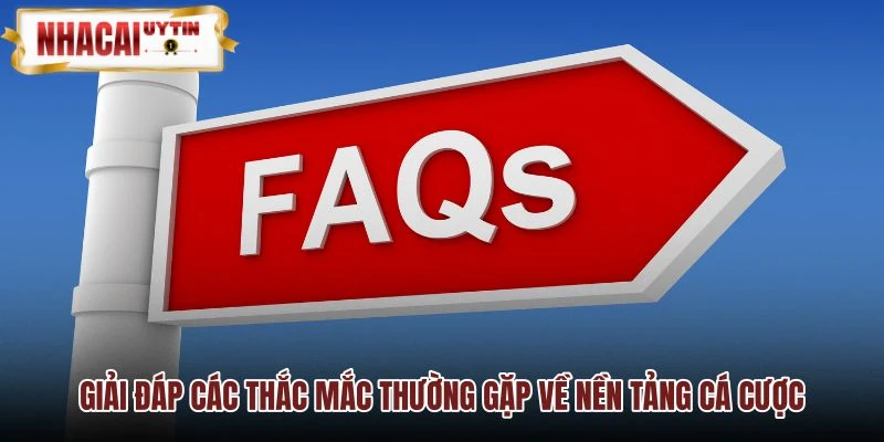 Thông tin giải đáp chi tiết về nền tảng cá cược MAY88