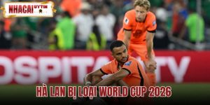 Hà Lan Bị Loại World Cup 2026
