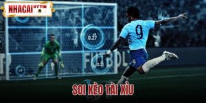 Soi Kèo Tài Xỉu